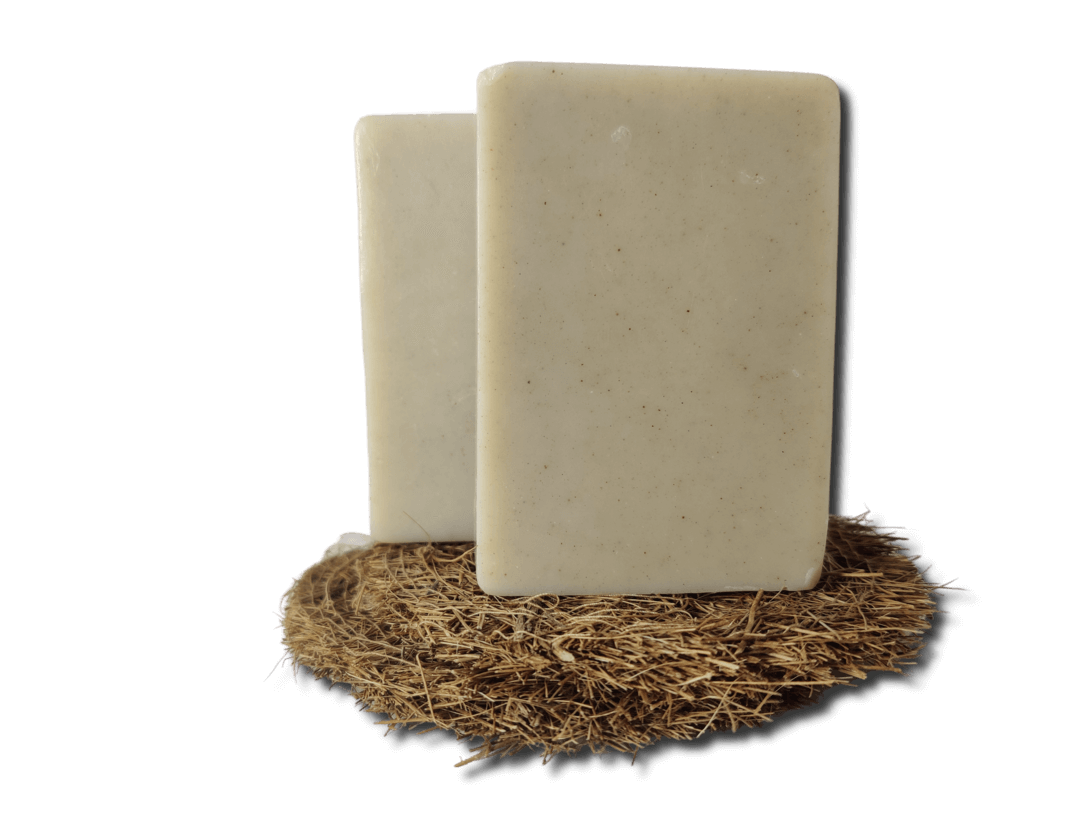 Probiotic Dish Washing Soap Bar Zero Waste