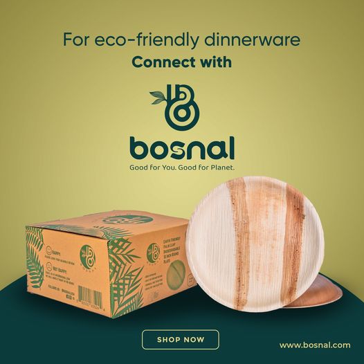 Palm Leaf Biodegradable Plates, 10 inch, Round (Set of 25/50/100)