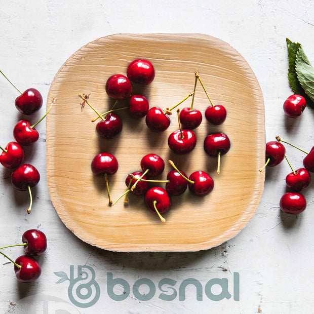 Palm Leaf Biodegradable Plates, 4 inch, Square (Set of 25/50/100)