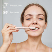 Natural Radiance Combo: Activated Coconut Charcoal Powder Natural Teeth Whitener + 100% Eco-friendly Cedarwood Toothbrushes (6 Pack)