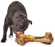 Giant Dog Bone - Grass-Fed Beef Femur Bone for Large Dogs