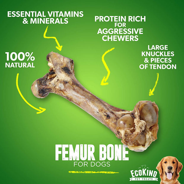 Giant Dog Bone - Grass-Fed Beef Femur Bone for Large Dogs