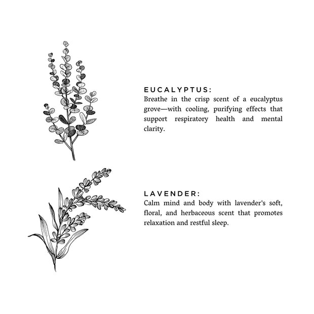 Eucalyptus + Lavender - Natural Bar Soap