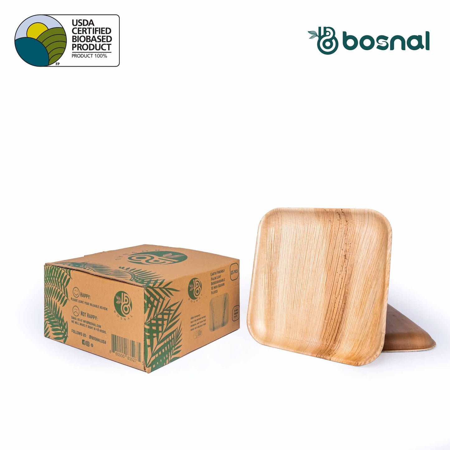 Palm Leaf Biodegradable Plates, 10 inch, Square (Set of 25/50/100)