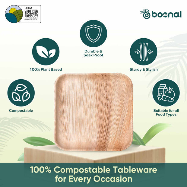 Palm Leaf Biodegradable Plates, 10 inch, Square (Set of 25/50/100)