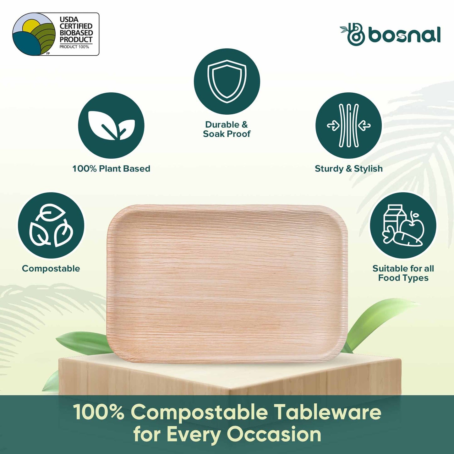Palm Leaf Biodegradable Plates, 9 x 6 inch Rectangle (Set of 25/50/100)
