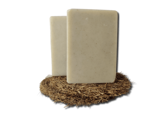 Probiotic Dish Washing Soap Bar Zero Waste