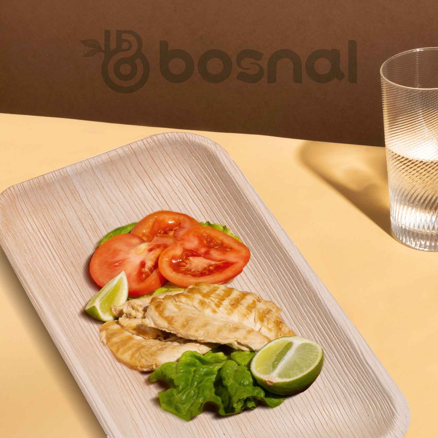 Palm Leaf Biodegradable Plates, 9 x 6 inch Rectangle (Set of 25/50/100)