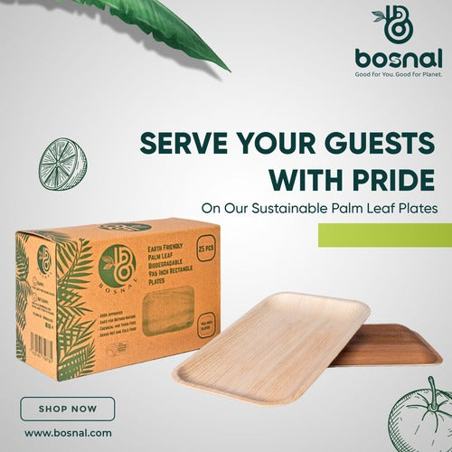 Palm Leaf Biodegradable Plates, 9 x 6 inch Rectangle (Set of 25/50/100)